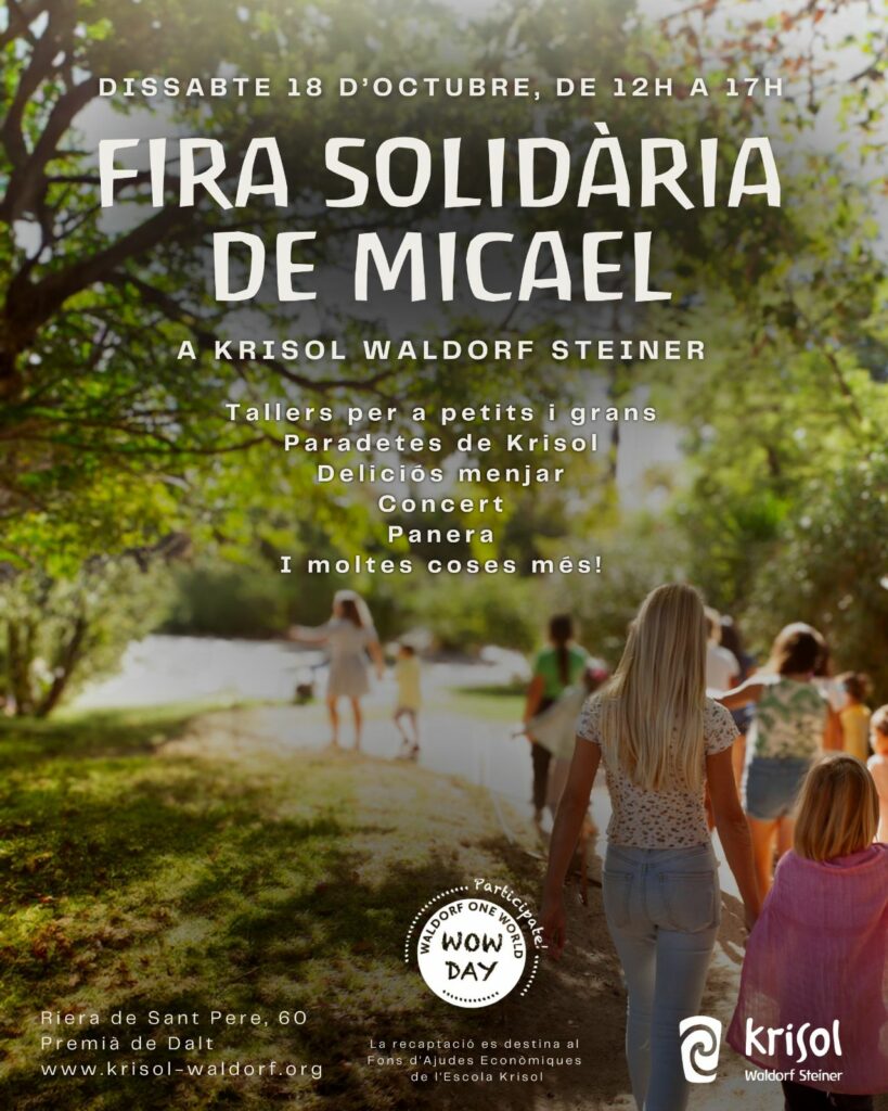 Feria solidaria de Micael