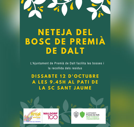 NETEJA DE BOSC