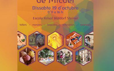 FIRA SOLIDÀRIA DE MICAEL