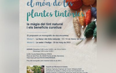 Descobreix el món de le plantes tintòries (Taller)