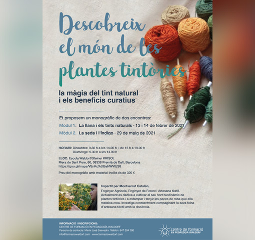 Descobreix el món de le plantes tintòries (Taller)