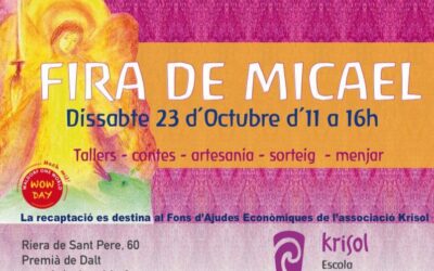 FIRA DE MICAEL