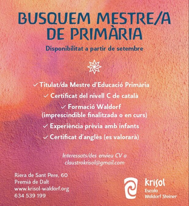 Busquem mestre/a de primària