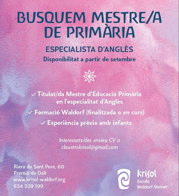 Busquem mestre/a de primària