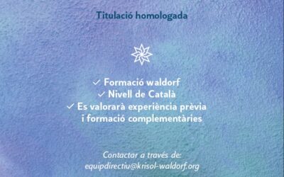 Busquem mestre/a de primaria tutor