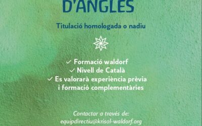 Busquem mestre/a de angles