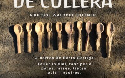 Taller de cullera