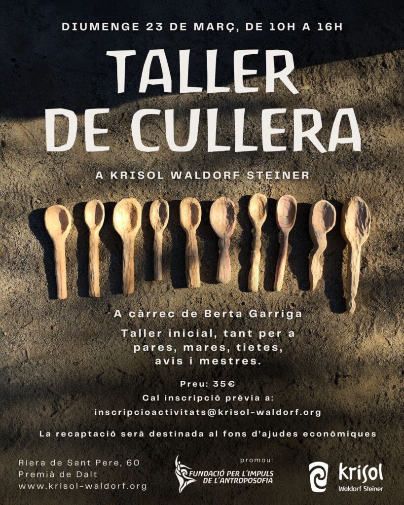 Taller de cuchara