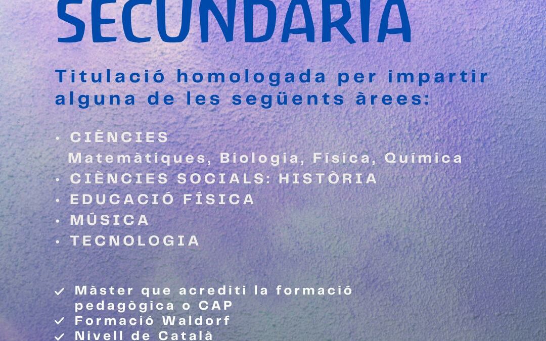 Buscamos maestro/a de secundaria