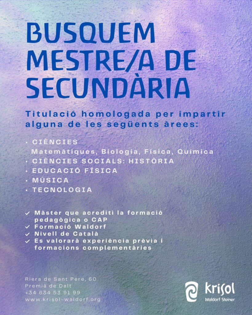 Buscamos maestro/a de secundaria