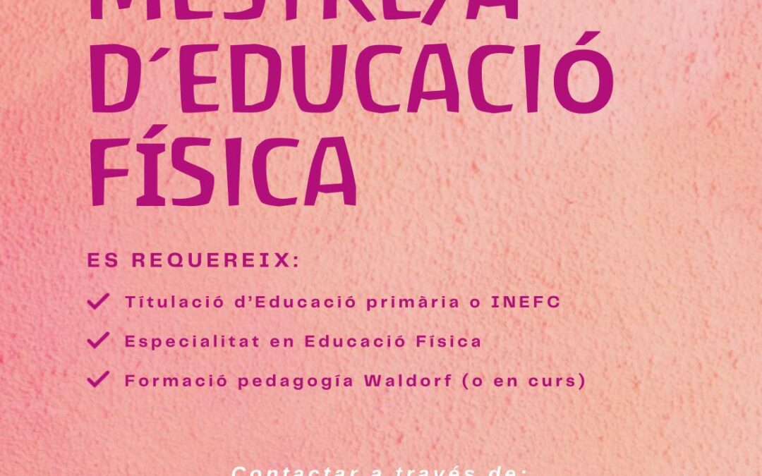 Busquem mestre/a d’educació física