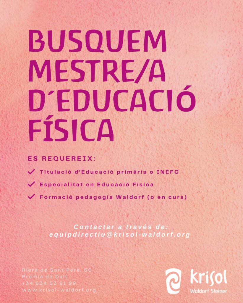Busquem mestre/a d'educació física