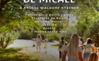 Fira solidària de Micael