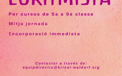 Busquem Euritmista