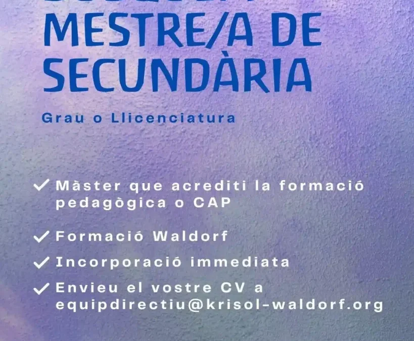 Busquem mestre/a de secundària