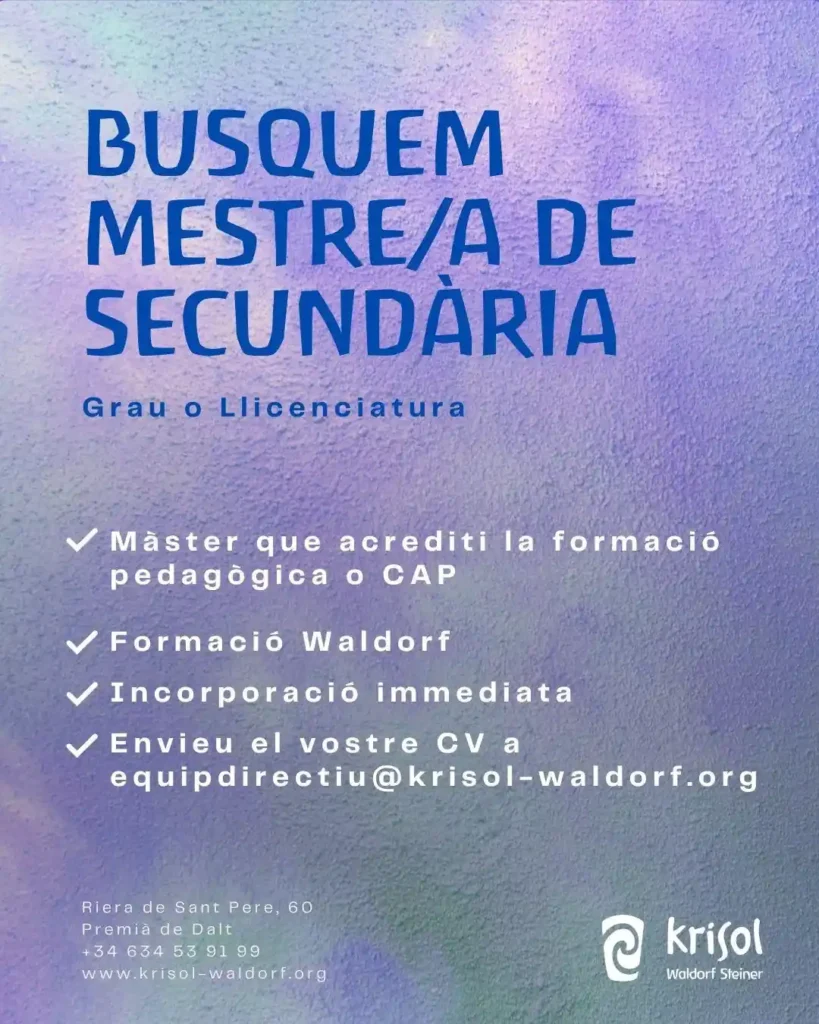Busquem mestre/a de secundària