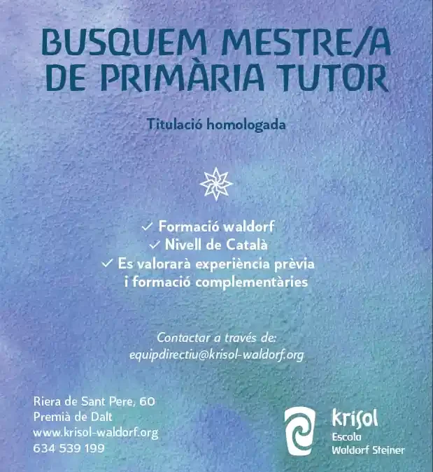 Busquem mestre/a de primària tutor