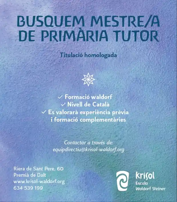 Busquem mestre/a de primària tutor